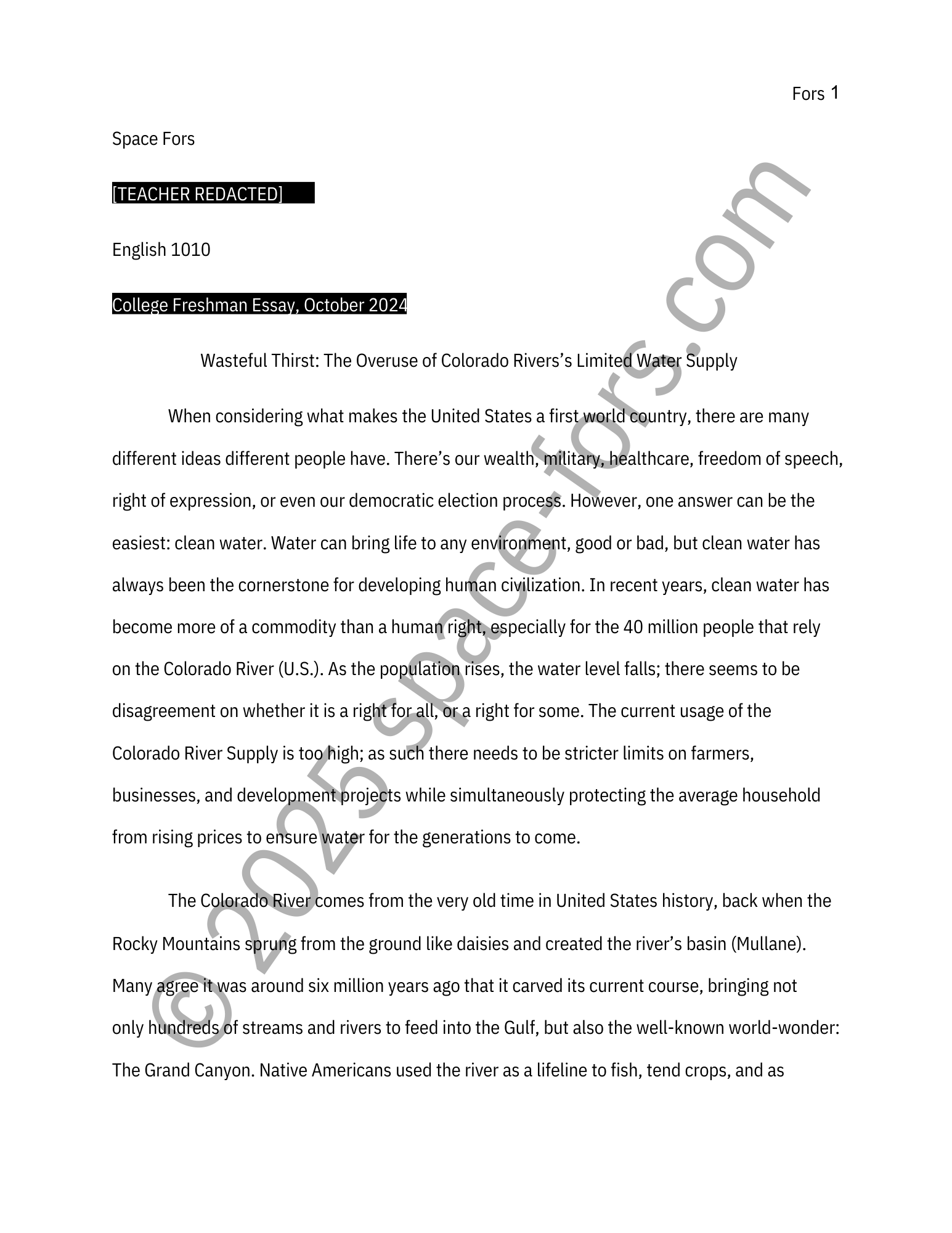 Essay 2 Cover